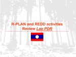 REDD activities review