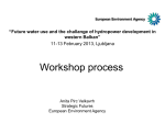 Session 1 - Workshop process (Anita Pirc Velkavrh)