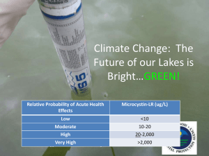 Climate Change:  The Future of our Lakes is Bright… GREEN!