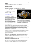 TIEE Global Temperature Change in the 21 Century ISSUES : DATA SET