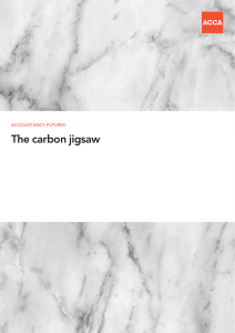 The carbon jigsaw AccountAncy futures