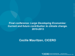 Cecilie Mauritzen, CICERO Large Developing Economies: 2010-2013