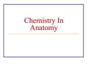 Chemistry in Anatomy