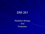 DMI 261