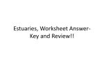 Worksheet Answer-Key and Review!!