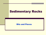 Sedimentary Rocks