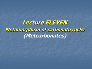 Lecture notes on Metamorphic Petrology