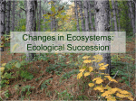Ecological Succession - Dayton Independent School District
