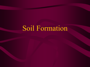 Soil Characteristics