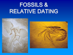 Fossils-12-131
