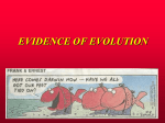 Evidence of Evolution PPT