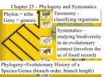 Chapter 25 - Phylogeny/Systematics