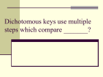 Dichotomous keys use multiple steps which compare ______?