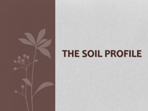 The Soil Profile