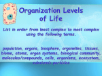Levels of Organization Z