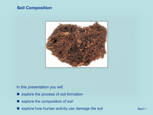 Soil Composition