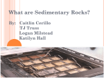 What are Sedimentary Rocks