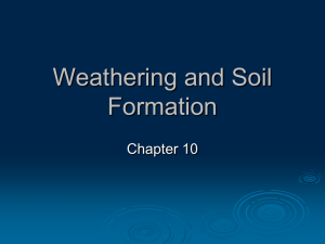 Soil - Cobb Learning
