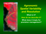 Agronomic Spatial Variability and Resolution