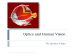 Optics and Human Vision