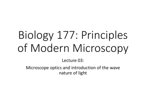 Lect03_Bi177_MicroscopeOptics