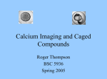 Calcium Imaging and Caged compounds