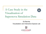 A Case Study in the Visualization of Supernova Simulation Data