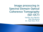 Image processing in Spectral Domain Optical Coherence