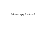 Microscopy Lecture