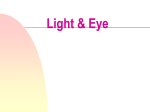 Light & Eye