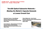 Terabit optical submarine networks