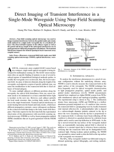 Direct Imaging of Transient Interference in a Optical Microscopy