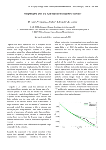 Weighting the prior of a fluid dedicated optical flow estimator