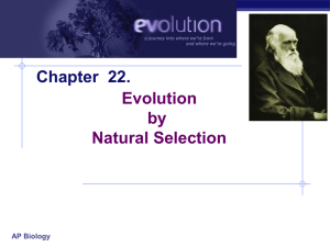 AP Biology Chapter 22. Evolution by Natural Selection AP Biology