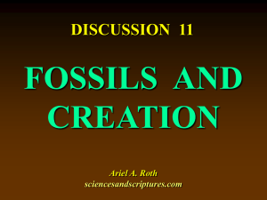 11. fossils and creation - Sciences and Scriptures