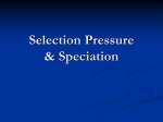 Selection Pressure & Speciation