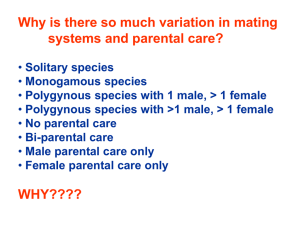 Intra-sexual selection