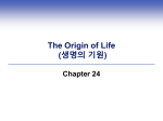 The Origin of Life (생명의 기원) Chapter 24