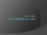 The History of Life - Byron Senior High School