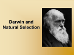 Darwin and Natural Selection