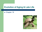 Evolution of Aging & Late Life