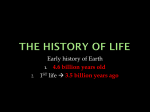 The history of life - Mrs. Stout's Website