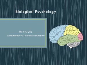 Biological Psychology - Mrs. Tompkins' Summit High Classes