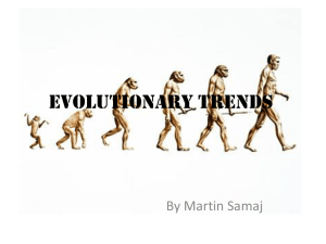 Evolutionary trends - Life is a journey: Mr. T finding his way