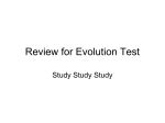 Review for Evolution Test