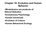 Chapter 18: Evolution and Human Behavior