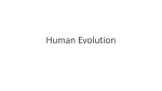 Human Evolution - Professor Sherry Bowen