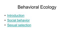 Sex, sociality and behavior (social behavior)