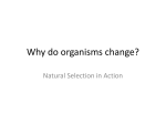 Why do organisms change? - Rabun County School District