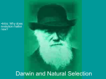Darwin and Natural Selection - Mr. Moore